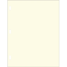 Minute Paper Letter Size 20lb., Rectangular Rod Punched, Ream of 500