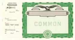 Goes® Eagle, No Text, Common Stock Certificates, Green, 100 per package